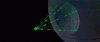 Alderaan bye bye 01.gif