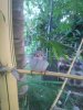 20180520_181201.jpg