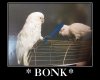 birb bonk.jpg