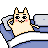 cat violence is not the answer.gif