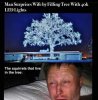 FB_IMG_1636023895629.jpg