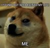 6f28945835dc9b4d1ac57b9cd0824b62.0.jpg
