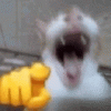 upload_2025-8-8_11-13-11.gif