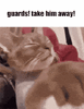 1779882573451132.gif